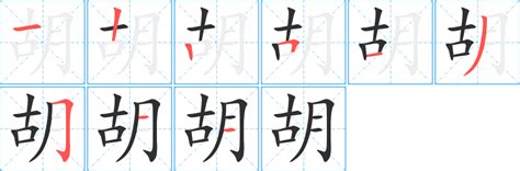 胡部首|胡字笔画、笔顺、笔划